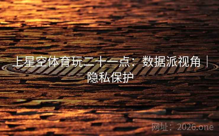 上星空体育玩二十一点：数据派视角｜隐私保护