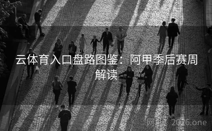 云体育入口盘路图鉴：阿甲季后赛周解读