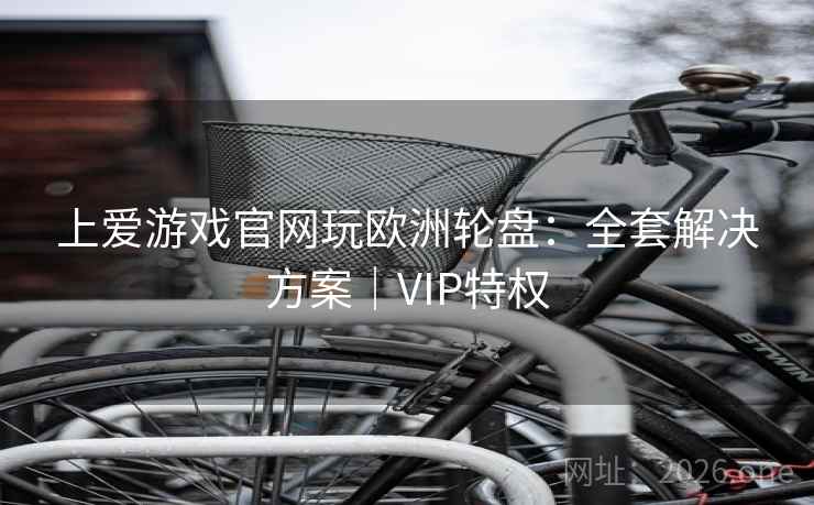 上爱游戏官网玩欧洲轮盘:全套解决方案|VIP特权