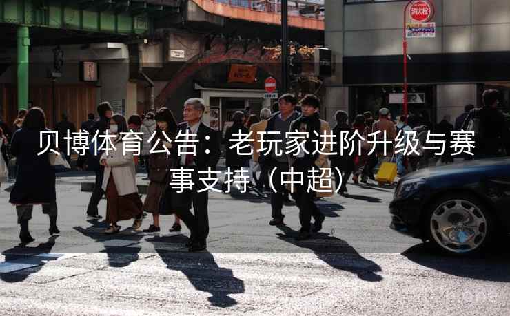 贝博体育公告:老玩家进阶升级与赛事支持(中超)